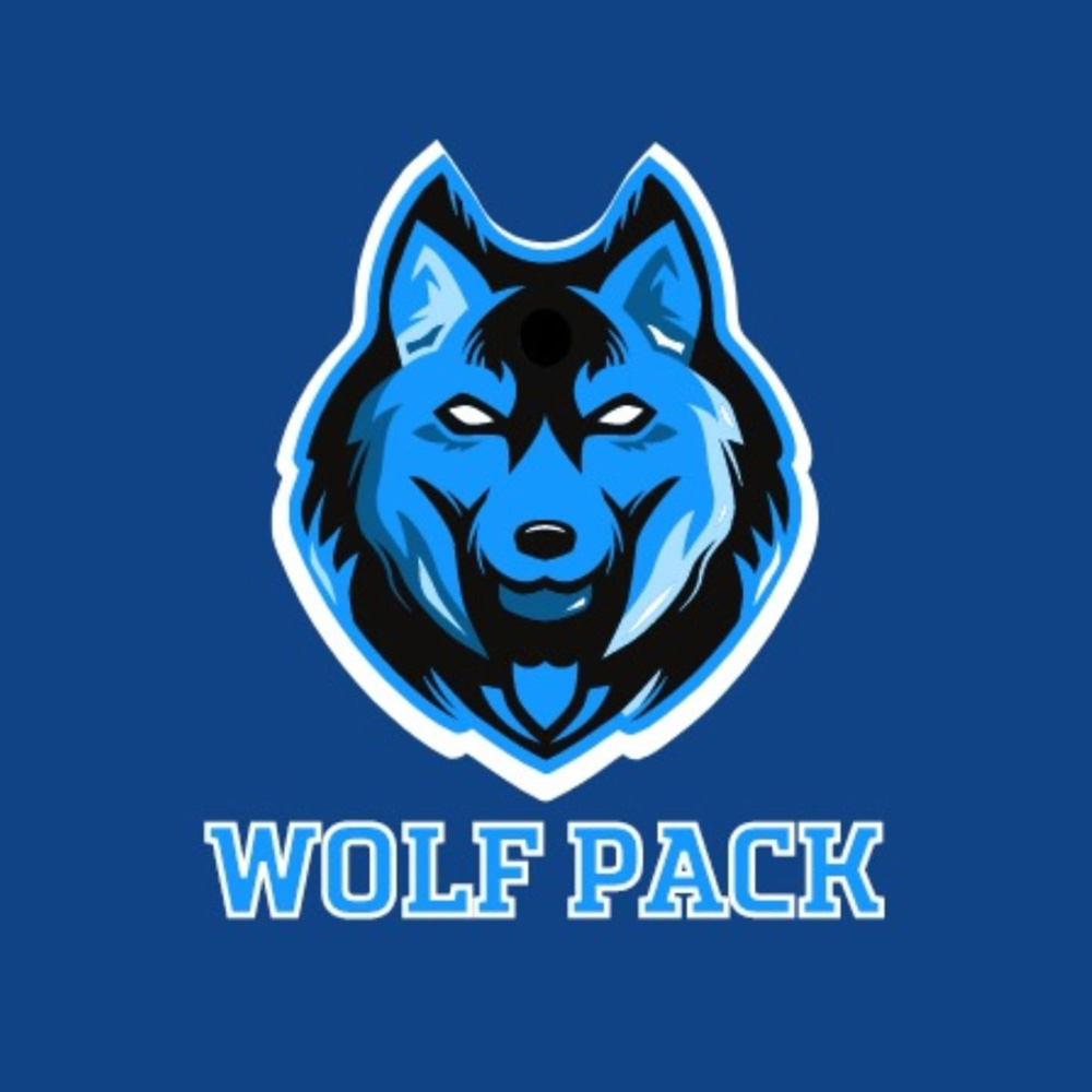 team-wolfpack https://www.spbl.com.sg/wp-content/uploads/2024/09/team-wolfpack.jpg